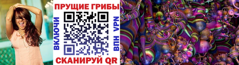 Псилоцибиновые грибы Psilocybe  Ачхой-Мартан 